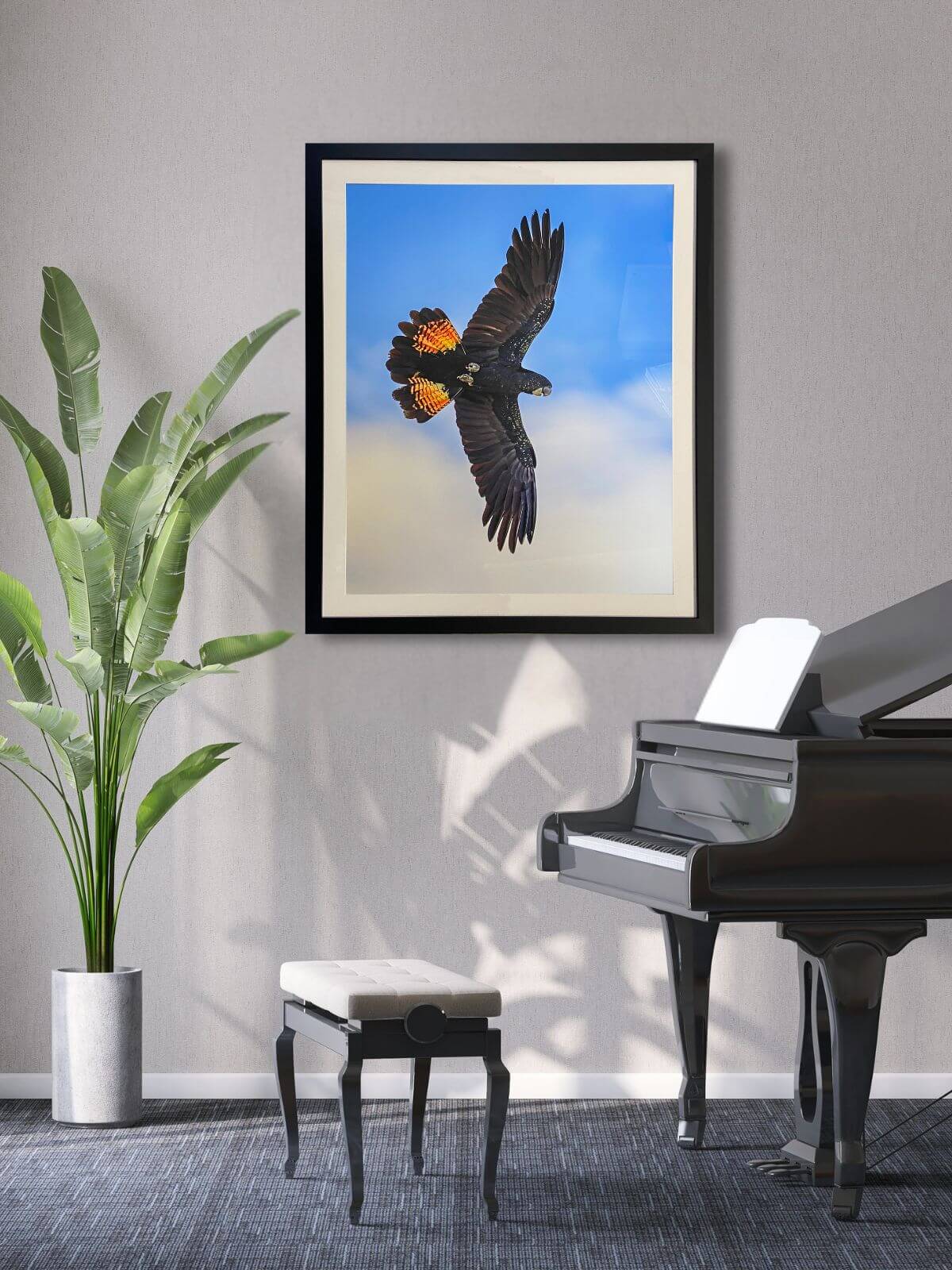 Framed black cockatoo haning above piano