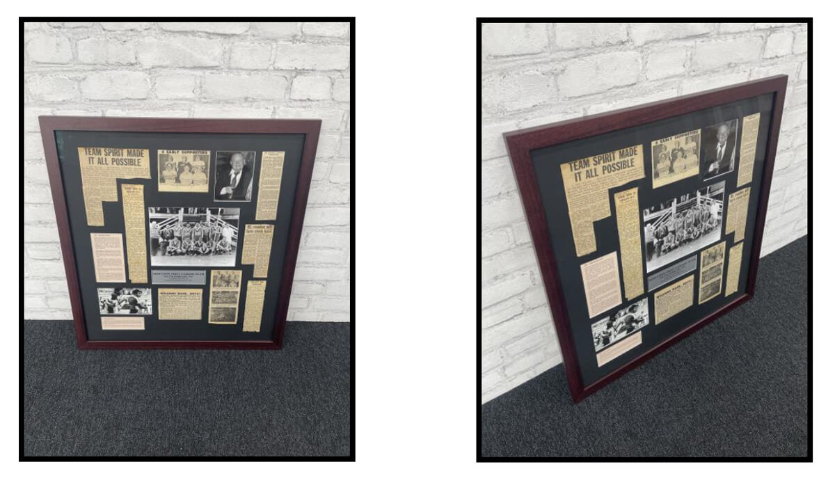 finished frame Framed dolphins NRL memorabilia