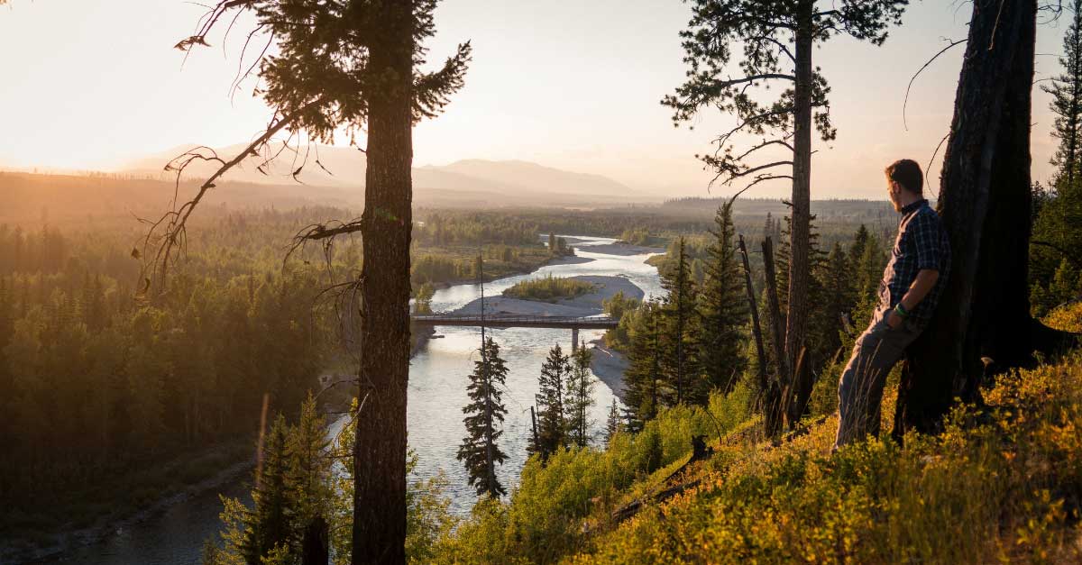 softwood picture frames