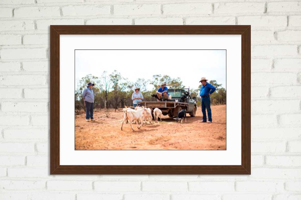 life on the farm by jessica jean